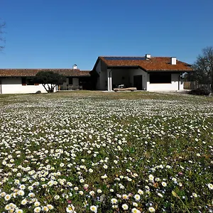 Al Montegallo Bed & Breakfast Sarego